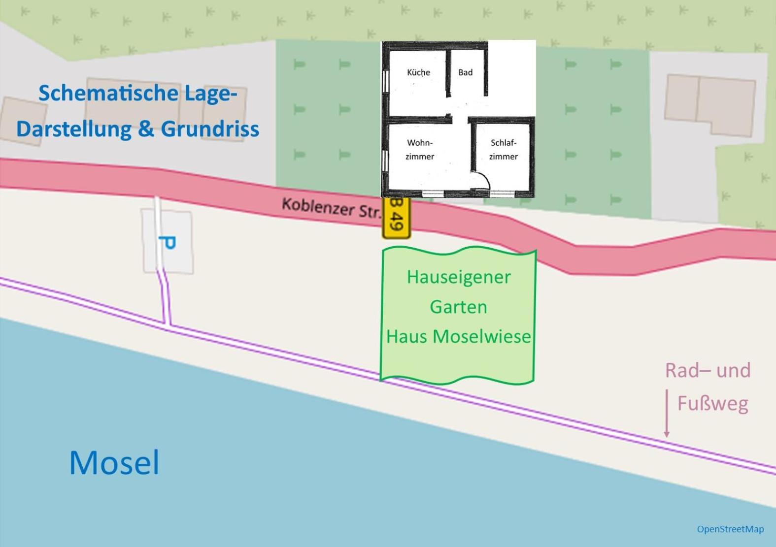 Haus Moselwiese Alf Kamer foto