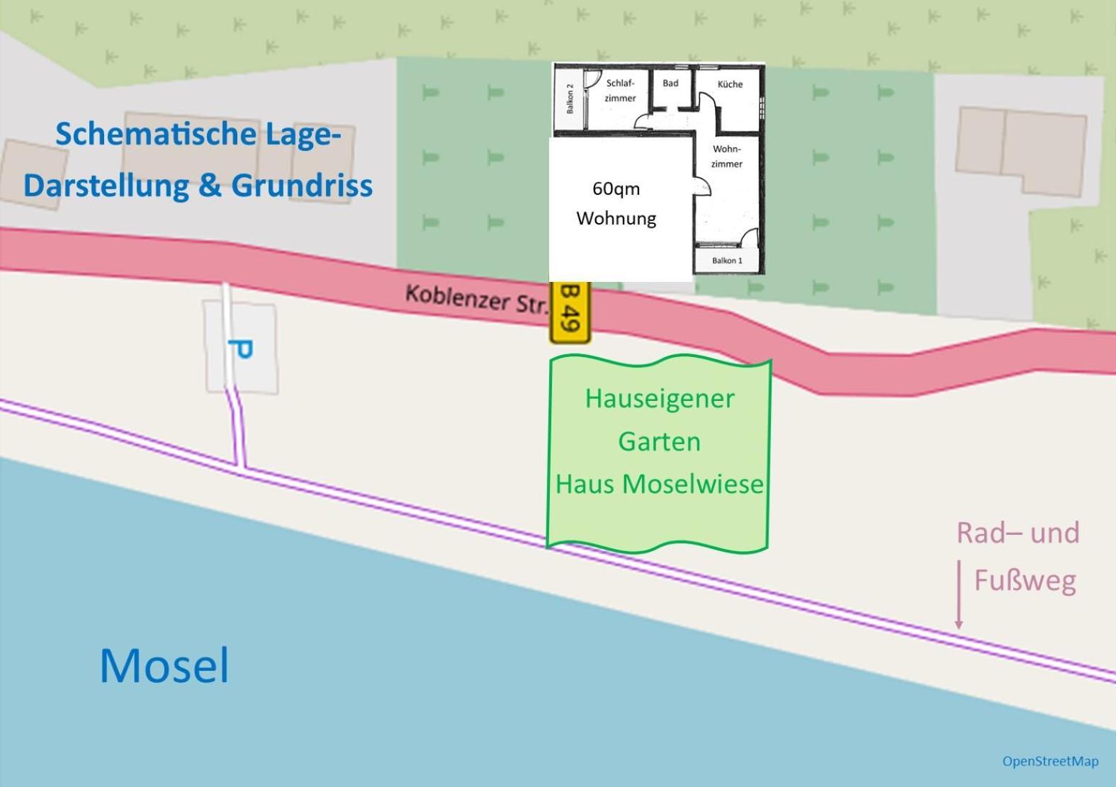 Haus Moselwiese Alf Kamer foto
