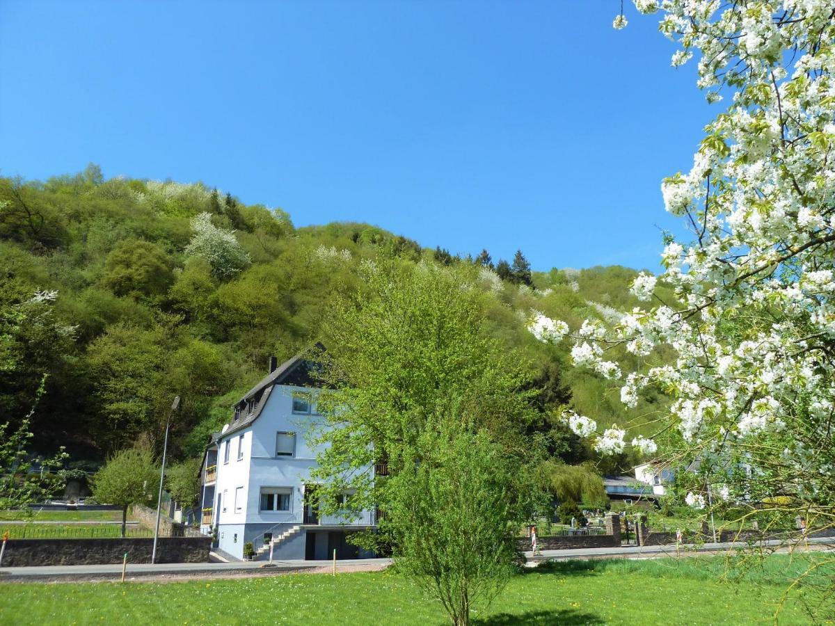 Haus Moselwiese Alf Buitenkant foto